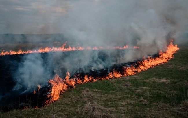 Жителів ряду областей попередили про високу загрозу пожеж