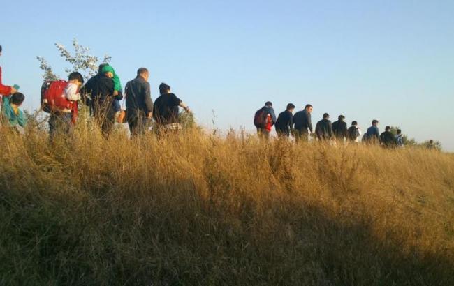 Пограничники фиксируют рост количества нелегальных мигрантов на границе