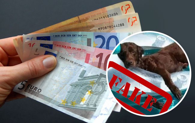 В Європі розганяють новий фейк про Україну. Йдеться про грошову допомогу