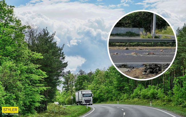 Под Днепром из грузовика на дорогу высыпались дохлые куры: стоит невыносимая вонь (фото)