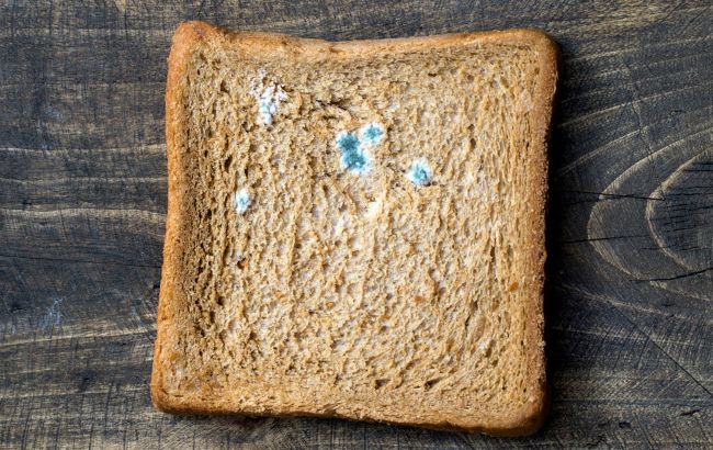 Лікарі розповіли, чи можна їсти трохи запліснявілі продукти