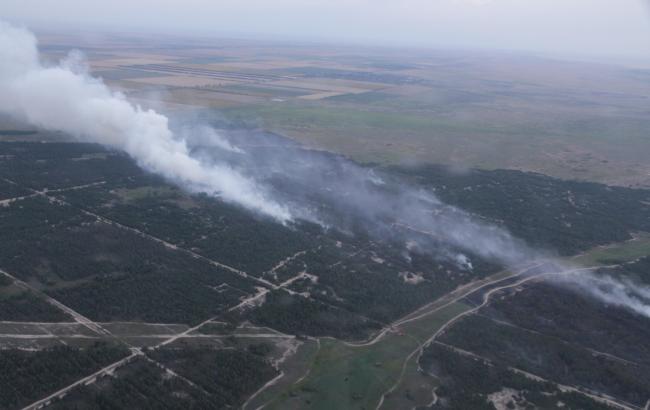 В Херсонской области потушили лесной пожар