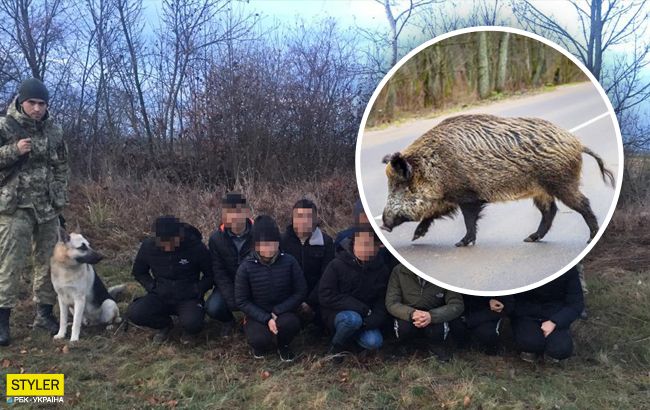 На Закарпатье вьетнамцы замаскировались под животных, чтобы перейти границу (видео)