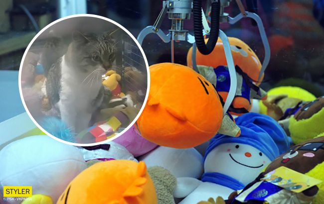 На Волыни в игровом автомате сидел живой приз: фото неожиданности