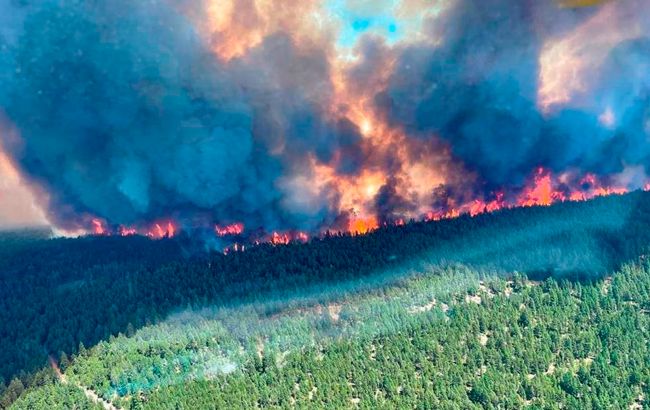 Масштабный лесной пожар уничтожил небольшой город в Канаде