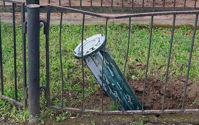 Окупанти вночі влучили ракетами в зоопарк Миколаєва