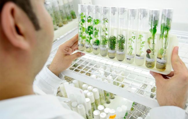 Ученые впервые в истории вырастили растения на почве с Луны