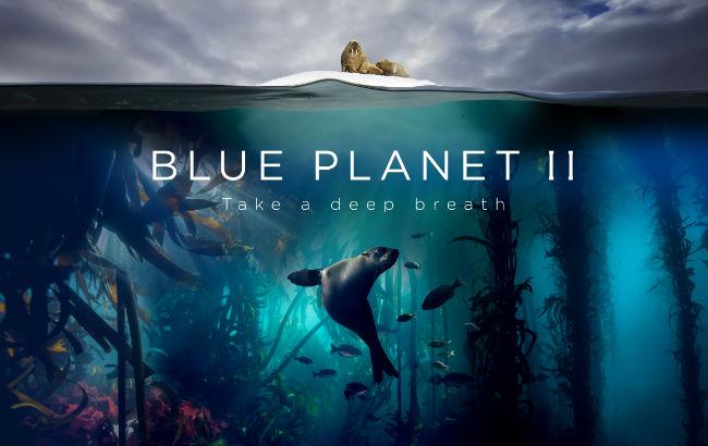 Radiohead совместно с Хансом Циммером создали саундтрек для документального фильма BBC