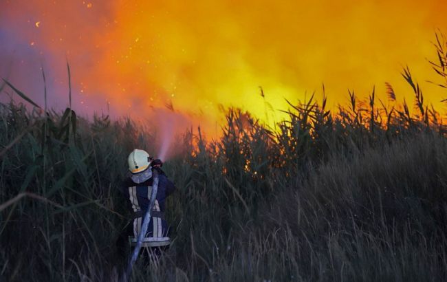 У Одеській області вирують масштабні пожежі: є загибла та поранені (фото)