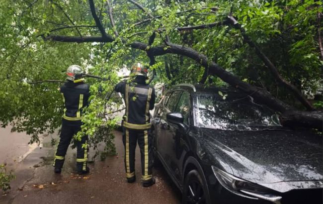 Негода накрила Чернівецьку область: десятки тисяч людей без світла, пошкоджені авто та школи