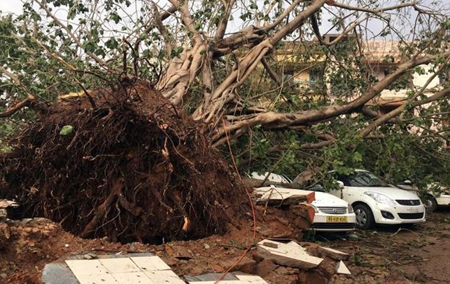 В Бангладеш погибли шесть человек из-за мощного циклона