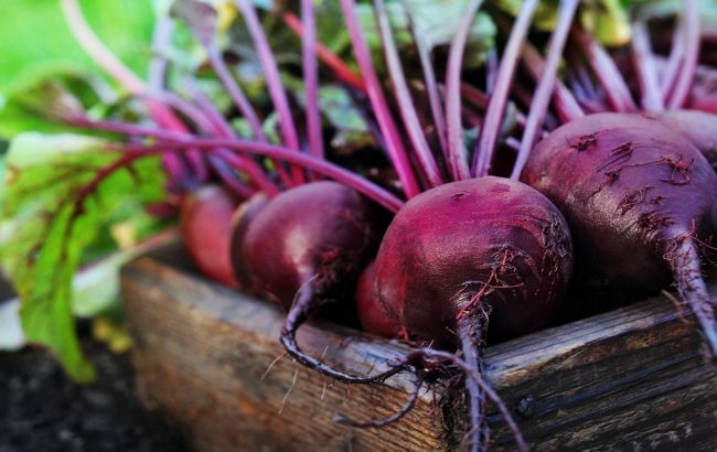 Як краще готувати буряк для його максимальної користі