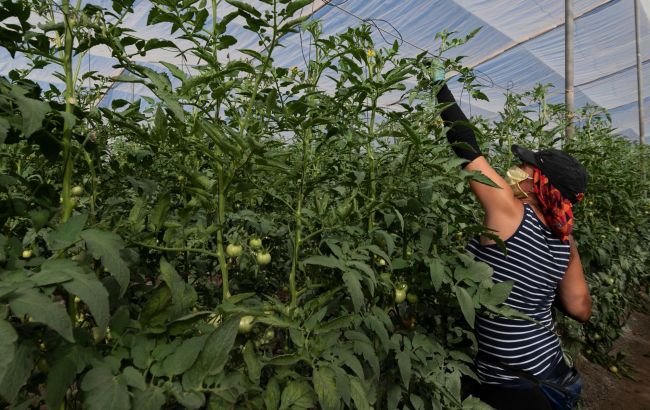 П&rsquo;ять змін по 7,5 годин: в Іспанії вирішили скоротити тривалість робочого тижня