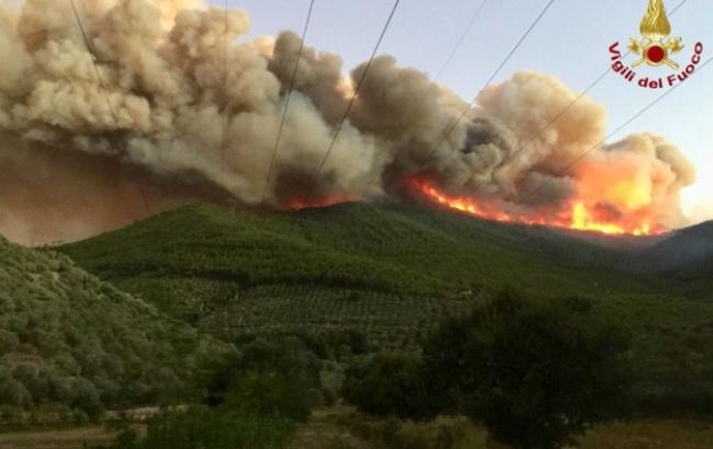 В Италии вспыхнул крупный лесной пожар, эвакуированы около 500 человек