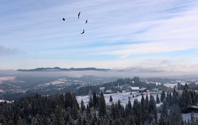 Мороз до -18. В Карпатах вирує люта зима (фото)