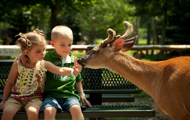 Хто має право обирати прізвище дитині: роз'яснення Мін'юсту