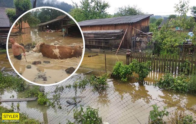 В Украине сильные ливни натворили беды: затоплены дома, людей эвакуируют (фото, видео)