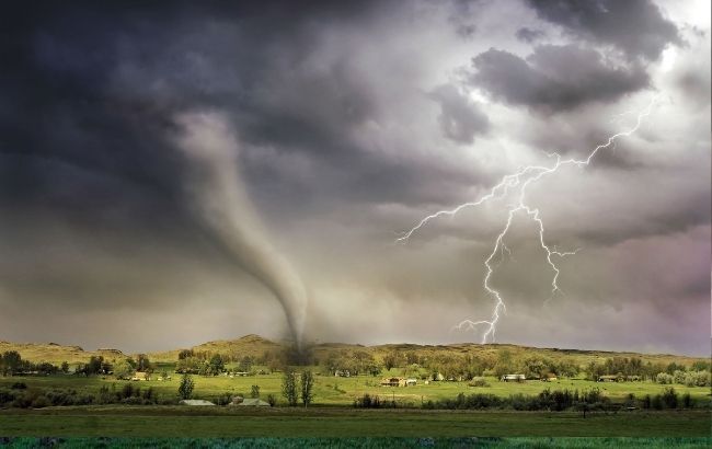 Під Житомиром потужний смерч за кілька хвилин "зніс" 100 гектарів лісу (відео)