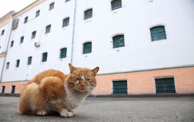 Квіти, рибки, двоспальні ліжка, мангали і навіть басейн: як виглядають кімнати побачень у колоніях і СІЗО