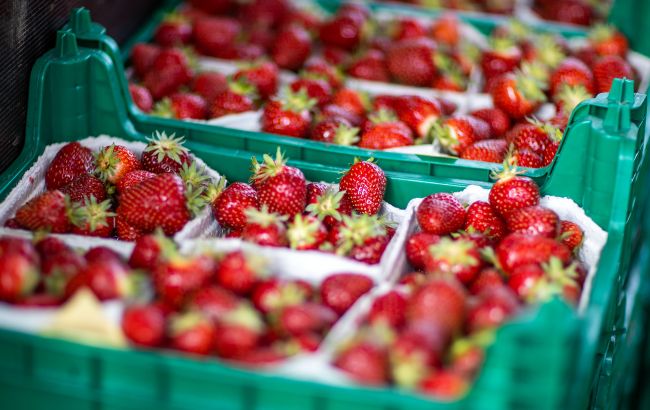 Как выбрать клубнику на рынке: "без химии", вкусную, сладкую и сочную