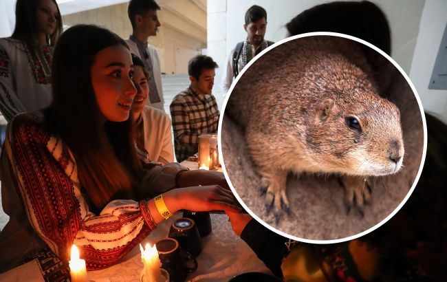 День бабака по-українськи. Як наші предки ворожили на весну