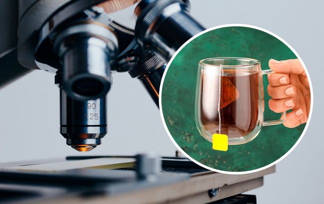 Действительно ли в пакетированном чае есть остатки насекомых: видео из-под микроскопа