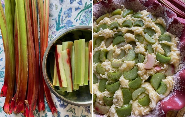 С хрустящим песочным тестом и сочной серединкой: рецепт очень вкусного пирога с ревенем