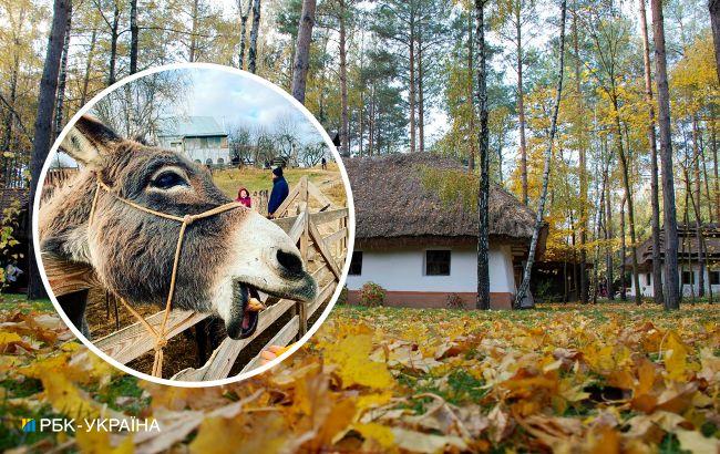 Ектор Хіменес-Браво поділився рецептом легендарного американського печива: просто і смачно!