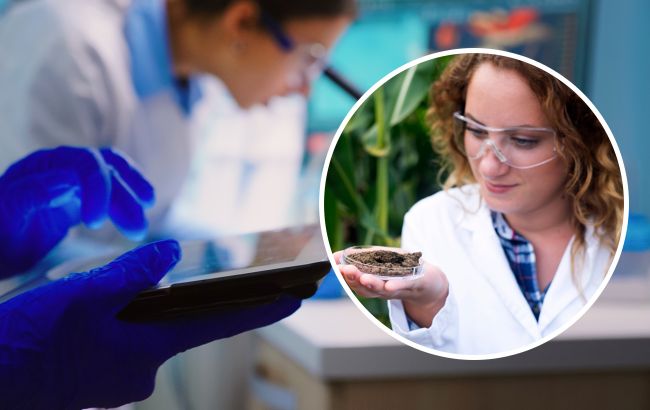 Ученые обнаружили существо, у которого нет глаз, зато есть почти 500 ног (фото и видео)