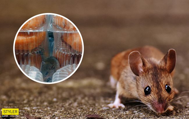 В Одессе в супермаркете на полке с выпечкой бегают мыши: возмутительные фото