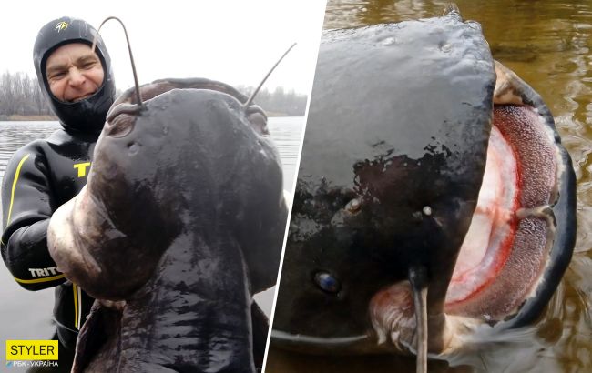 В Днепре мужчина поймал огромного сома весом почти 50 килограммов (фото)