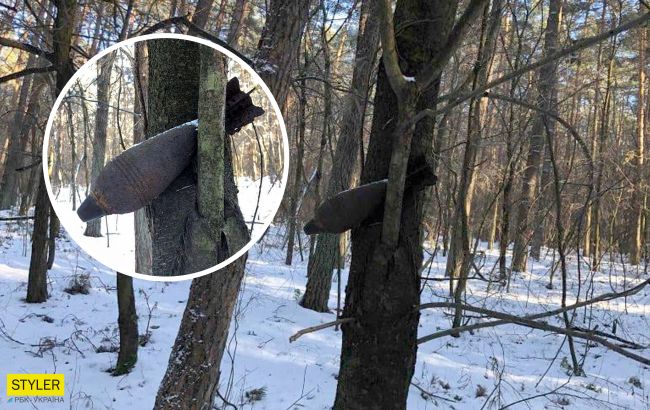 Под Львовом на дереве обнаружили почти 80-летнюю мину: "удивительная находка" (фото)