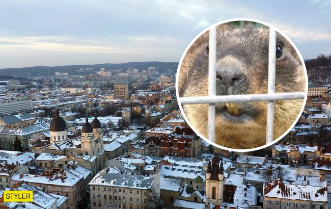 Львовские сурки-синоптики проснулись на месяц раньше: какую весну это&nbsp;предвещает