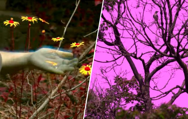 Зоологи показали, в каких цветах животные видят наш мир (видео)