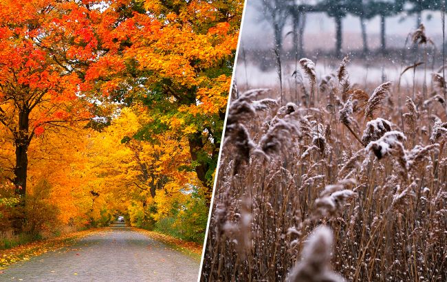 В Харькове полицейские заставили "гостя из России" взять кредит, чтобы заплатить им взятку (ФОТО)