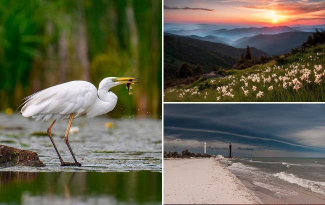 Представили 10 накрасивіших фото природи зі всієї України. Це просто неймовірно