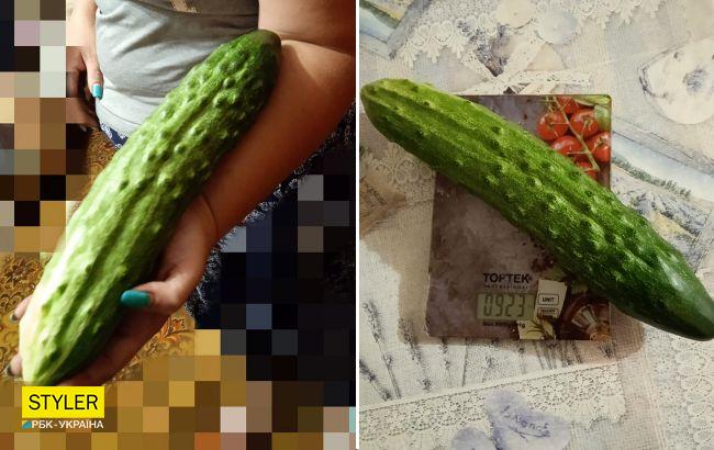 "Джавеліни": на Волині жінка виростила велетенський огірок (фото)