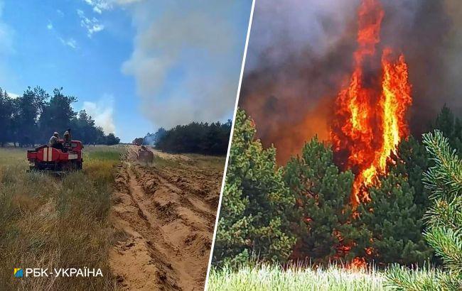 Море вкрите попелом. На окупованій Кінбурнській косі п'ятий місяць тривають пожежі (фото)