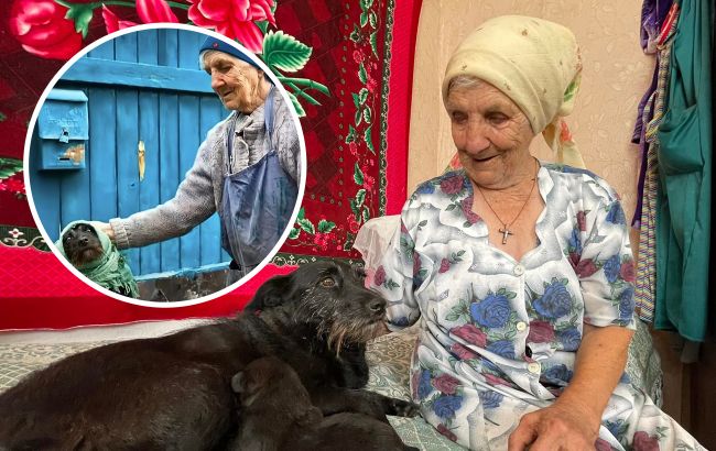 Сердце щемит, а душа радуется. Как живет сейчас Ефимовна, прятавшая собачку Боню в зеленый платок от обстрелов