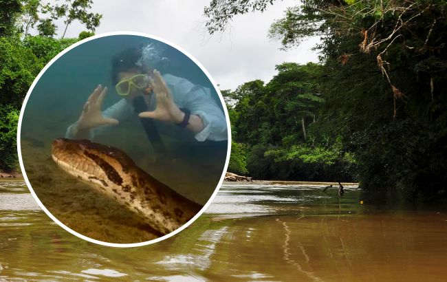 Вчені знайшли найбільшу змію у світі: зелена анаконда завдовжки 8 метрів і важить 200 кілограмів