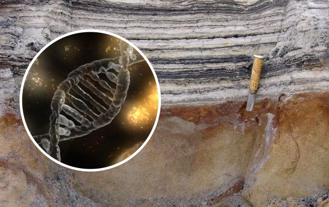 У Гренландії виявили ДНК, якій 2 млн років. Ці землі населяли тварини та рослини!