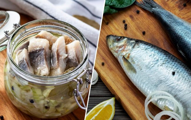 Слабосоленая или в масле? Эксперт назвала лучшую сельдь