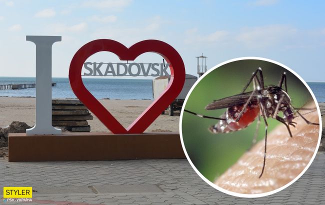 Курорты Украины оккупировали комары: спасения от них не предвидится
