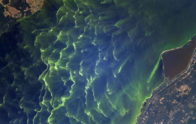 Осенний Киев сфотографировали из космоса: впечатляющие фотографии