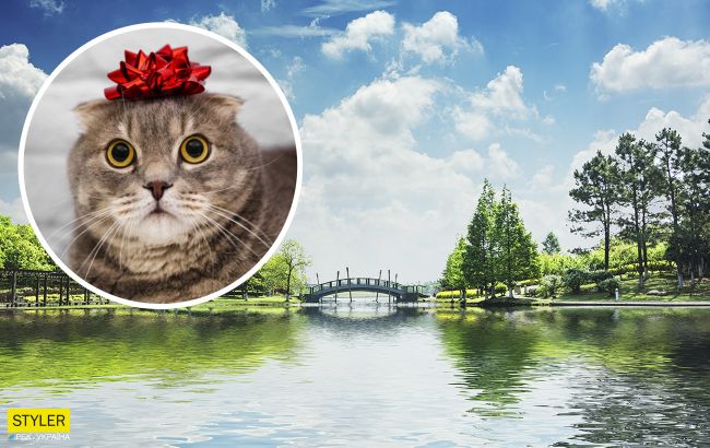 В центре Киева нашли озеро в форме кота и хотят сделать там парк мечты