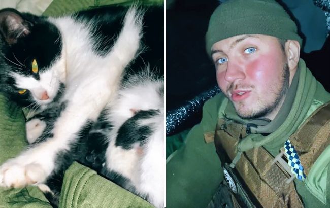 "Де народжується життя, немає місця смерті": боєць ЗСУ прийняв пологи у кішки в окопі (відео)