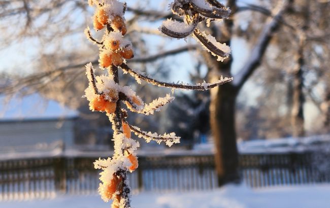 Січень вразив: яке диво природи помітили українці під час сильних морозів (фото)