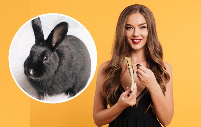 Чорний Кролик збагатить ці знаки Зодіаку у 2023 році: астрологи назвали обраних!