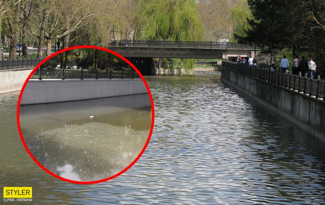 Крым превращается в помойку: в сети показали "чистейшие" воды рек