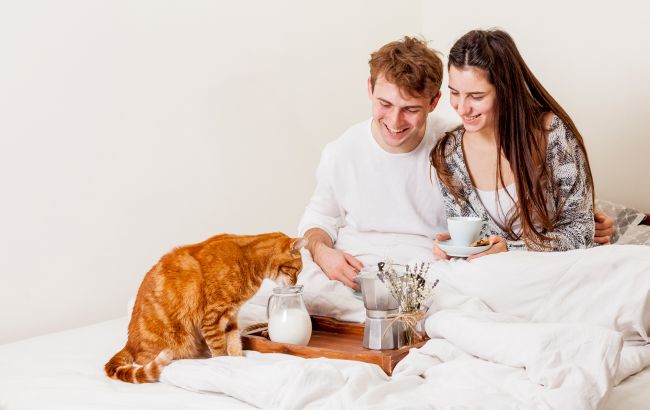 Эта привычка у кота во время еды может быть опасной: ветеринар объяснила, когда стоит волноваться